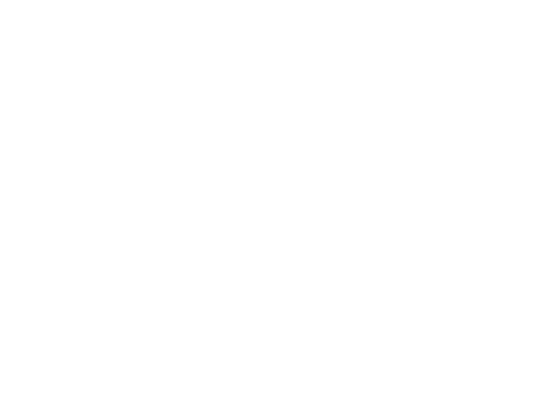 Minassa INCO
