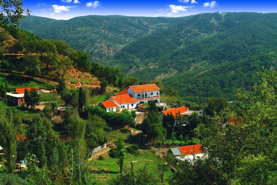 Kroumirie / Ain Draham