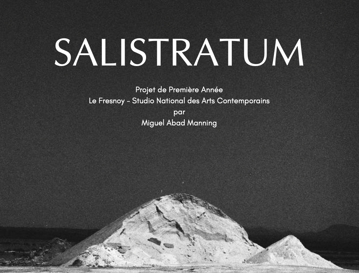 SALISTRATUM
